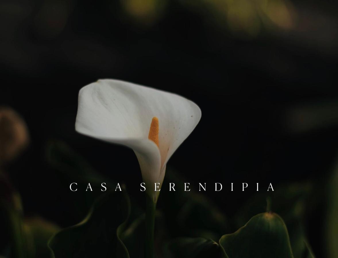 Casa Serendipia La Asomada  Extérieur photo